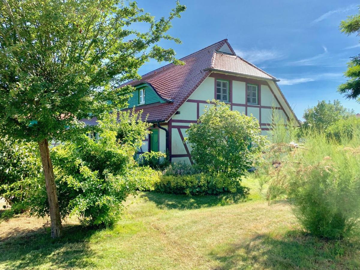 Strandnahe Ferienwohnung Ruegen Dranske Exterior foto